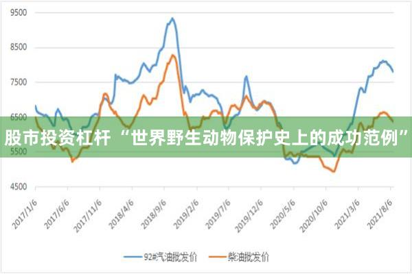 股市投资杠杆 “世界野生动物保护史上的成功范例”