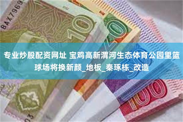 专业炒股配资网址 宝鸡高新渭河生态体育公园里篮球场将换新颜_地板_秦琢栋_改造
