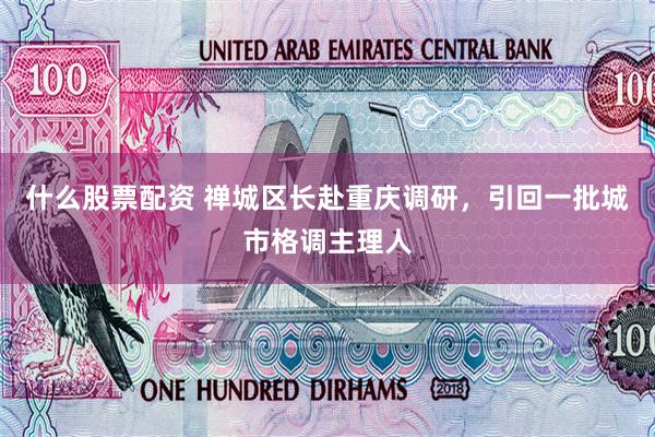 什么股票配资 禅城区长赴重庆调研，引回一批城市格调主理人