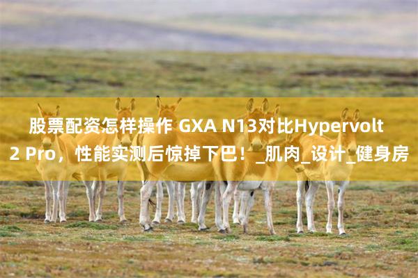股票配资怎样操作 GXA N13对比Hypervolt 2 Pro，性能实测后惊掉下巴！_肌肉_设计_健身房