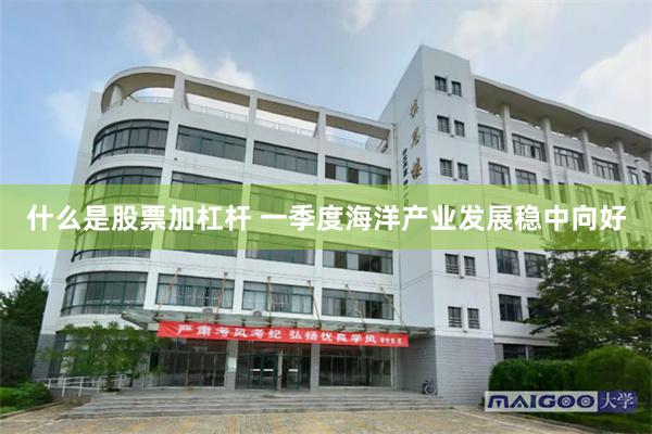 什么是股票加杠杆 一季度海洋产业发展稳中向好