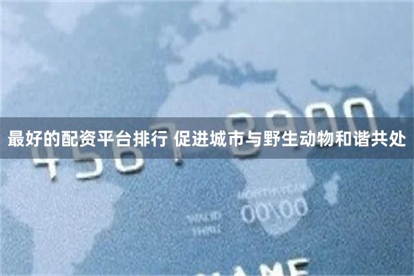 最好的配资平台排行 促进城市与野生动物和谐共处
