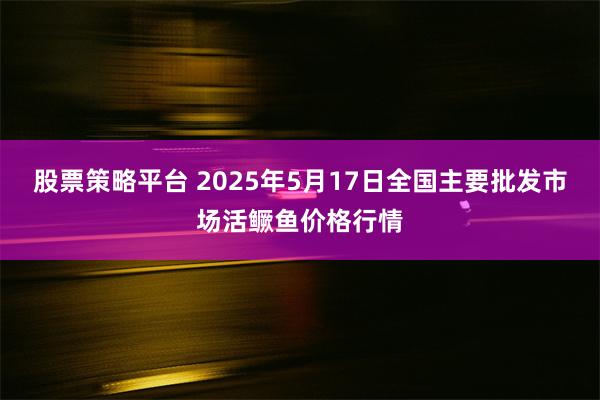 股票策略平台 2025年5月17日全国主要批发市场活鳜鱼价格行情