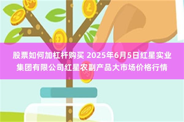 股票如何加杠杆购买 2025年6月5日红星实业集团有限公司红星农副产品大市场价格行情