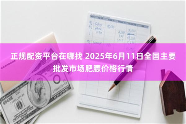 正规配资平台在哪找 2025年6月11日全国主要批发市场肥膘价格行情