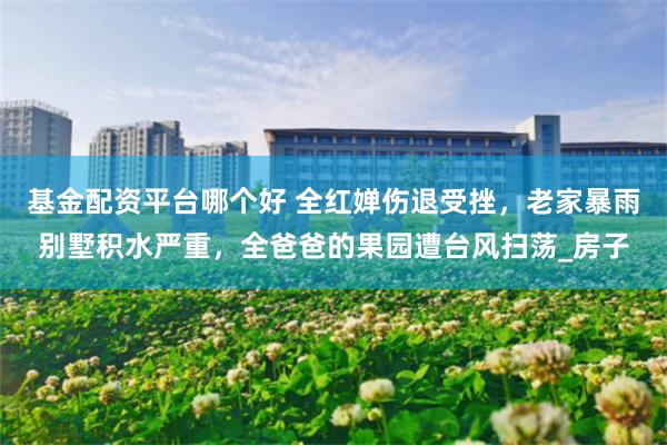 基金配资平台哪个好 全红婵伤退受挫，老家暴雨别墅积水严重，全爸爸的果园遭台风扫荡_房子