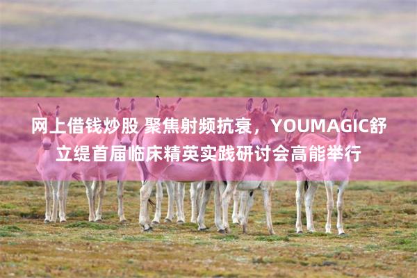 网上借钱炒股 聚焦射频抗衰，YOUMAGIC舒立缇首届临床精英实践研讨会高能举行