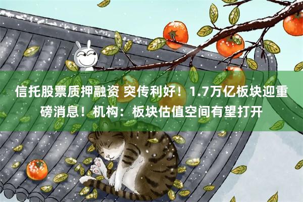 信托股票质押融资 突传利好！1.7万亿板块迎重磅消息！机构：板块估值空间有望打开