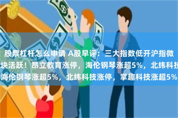 股票杠杆怎么申请 A股早评：三大指数低开沪指微跌0.05%，托育服务板块活跃！昂立教育涨停，海伦钢琴涨超5%，北纬科技涨停，掌趣科技涨超5%