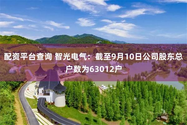 配资平台查询 智光电气：截至9月10日公司股东总户数为63012户